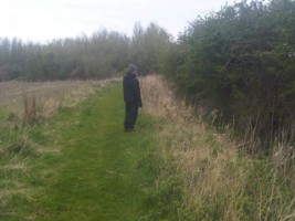 Hedgerow birds at dawn, Lee Moor 2nd May 2010
